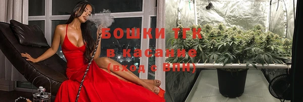 амф Ессентукская